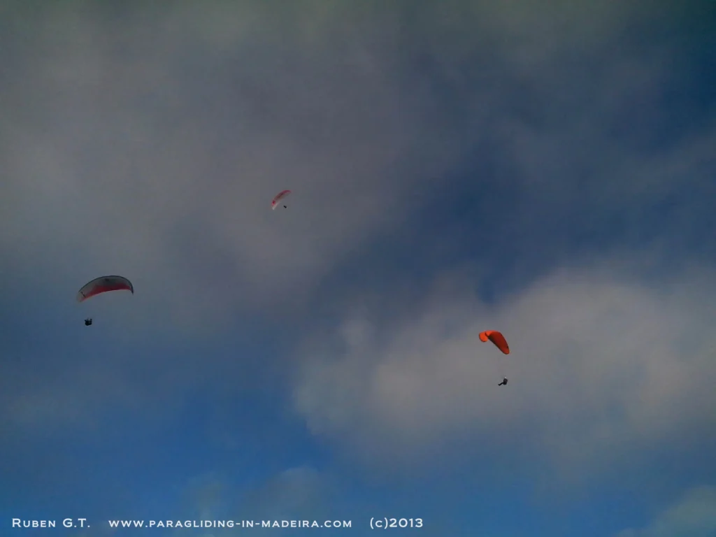 Flybus paragliding madeira 2013