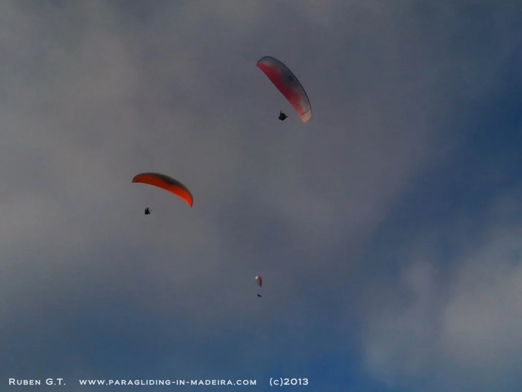 Flybus paragliding madeira 2013