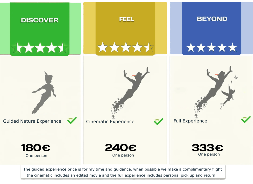 Prices options new